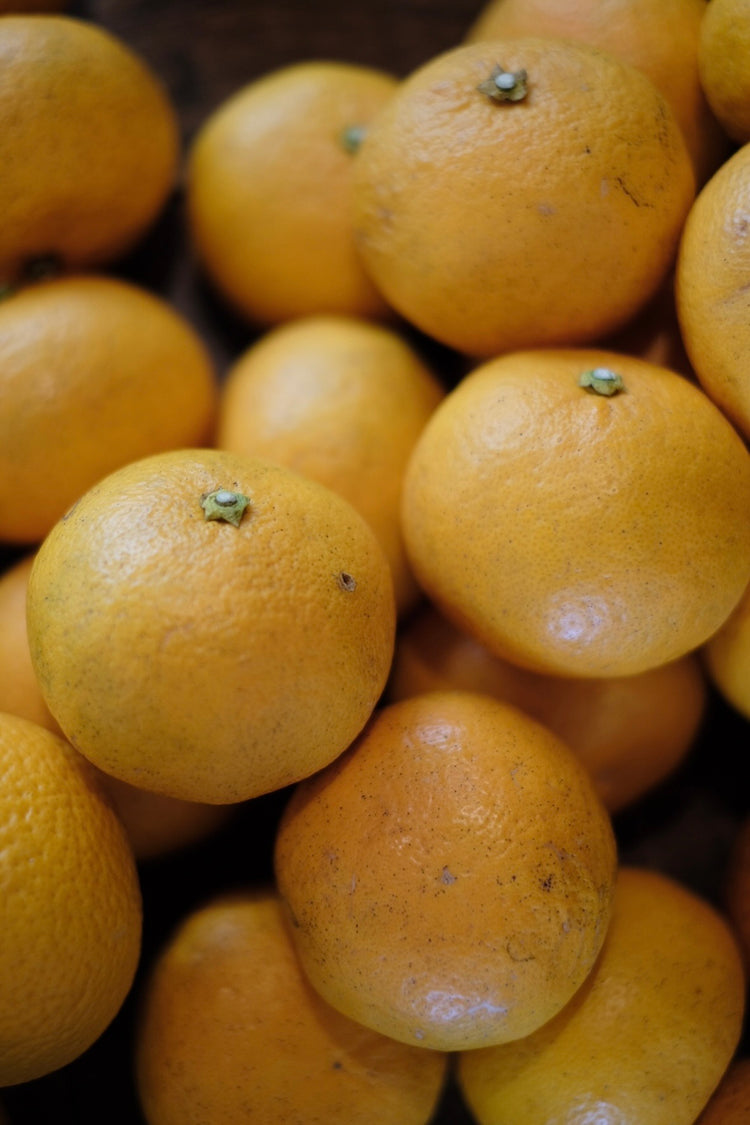 甘夏のブリオッシュ